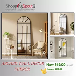 Arched Full-Length Windowpane Mirror $230 OFF